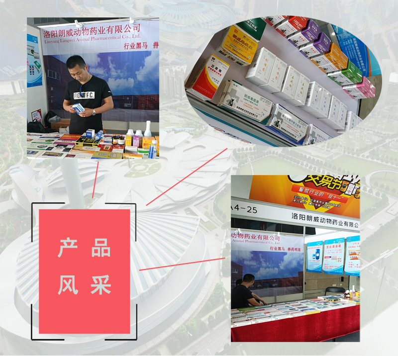 洛陽朗威藥業2.jpg
