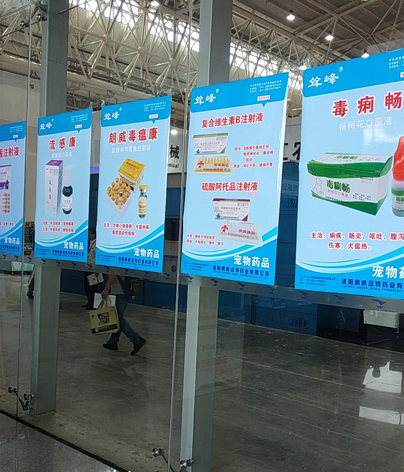 洛陽朗威藥業3.jpg