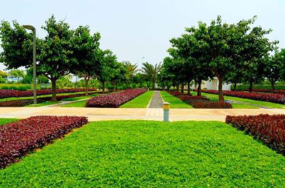 綠滿邕城 南寧園林綠化、庭院美化與專業(yè)工程服務(wù)的全方位解析